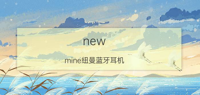 new mine纽曼蓝牙耳机 车载充电器转接头哪种牌子的好？